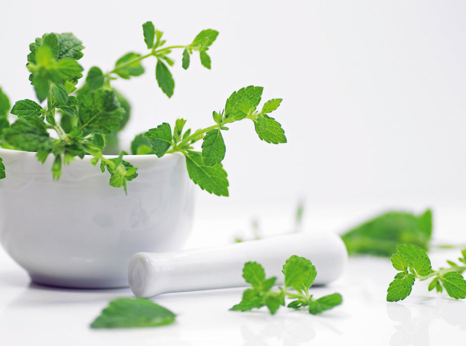 Melissa officinalis, frische Kräuter der Gesundheit 2000 Teile Puzzle quer - CALVENDO Foto-Puzzle'