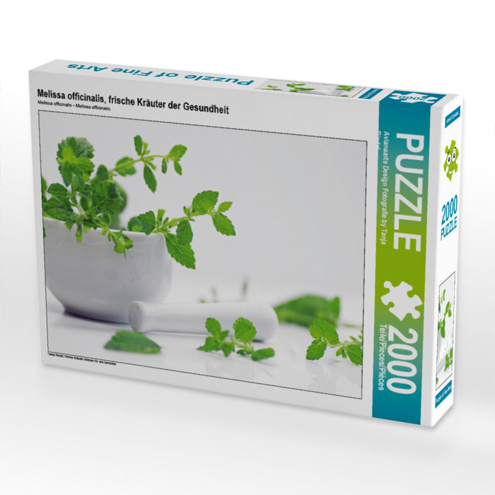 Melissa officinalis, frische Kräuter der Gesundheit 2000 Teile Puzzle quer - CALVENDO Foto-Puzzle'