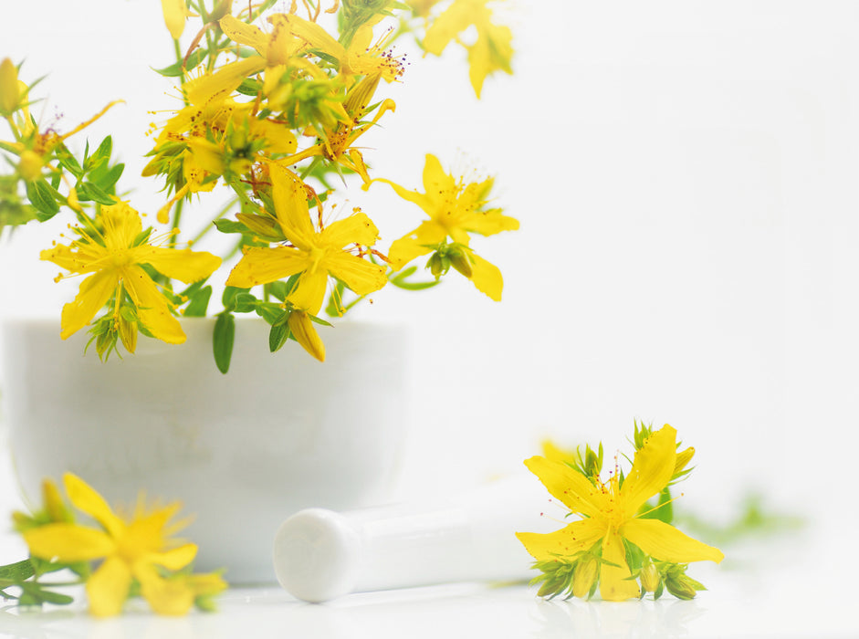 Hypericum perforatum; St. John's wort - CALVENDO photo puzzle 