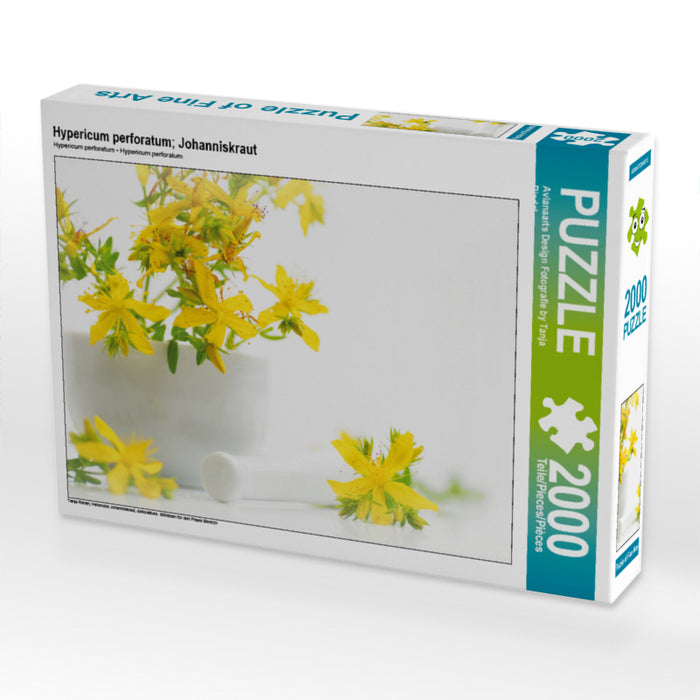Hypericum perforatum; St. John's wort - CALVENDO photo puzzle 