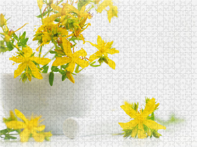 Hypericum perforatum; St. John's wort - CALVENDO photo puzzle 