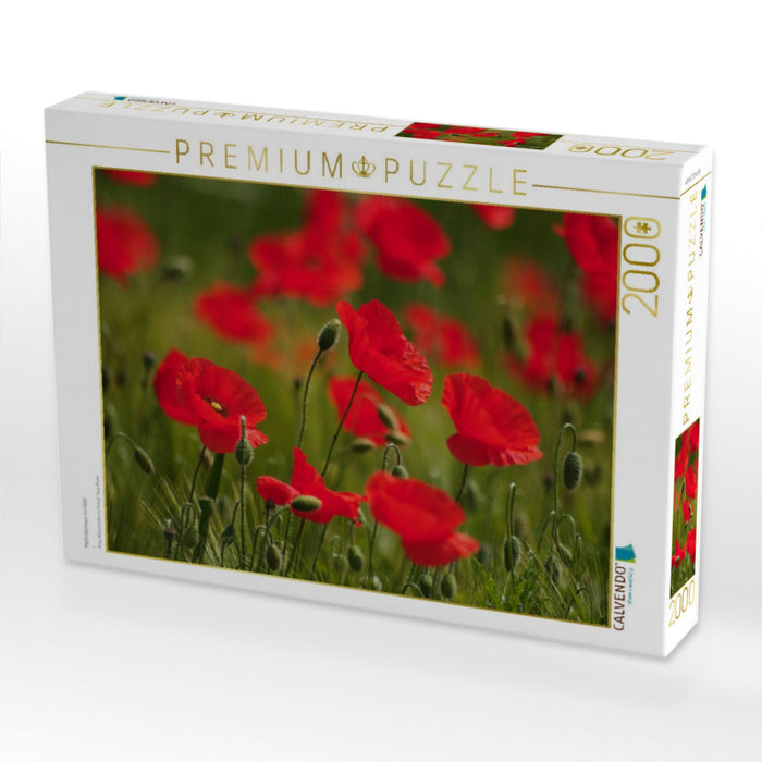 Mohnblumen im Feld - CALVENDO Foto-Puzzle'