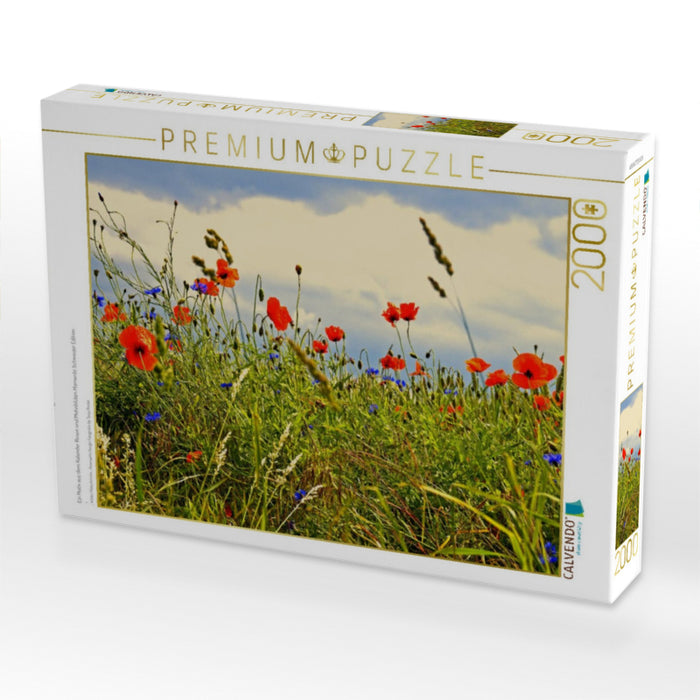 Ein Motiv aus dem Kalender Rosen und Mohnblüten Momente Schweizer Edition - CALVENDO Foto-Puzzle'