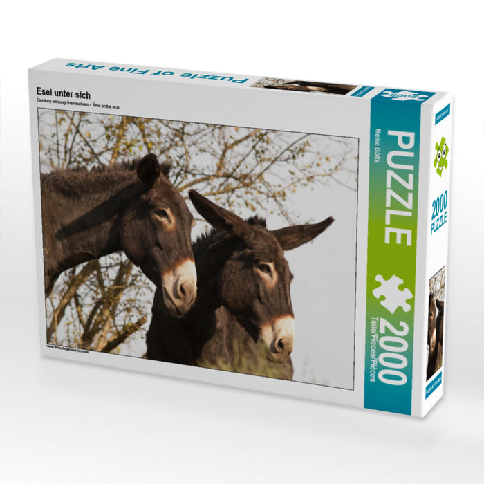 Ânes entre eux - Puzzle photo CALVENDO 