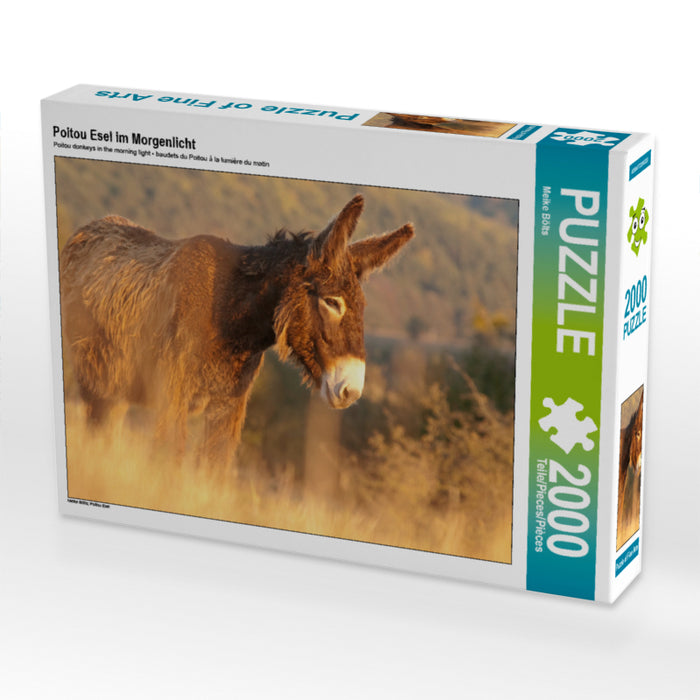Poitou donkey in the morning light - CALVENDO photo puzzle 