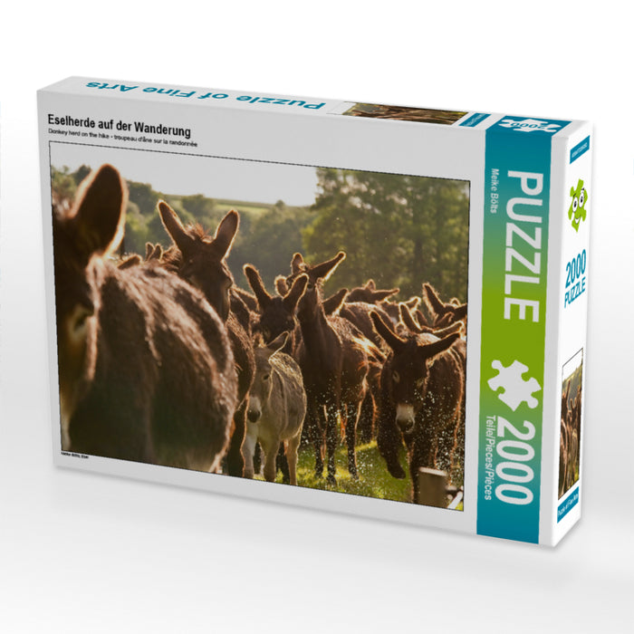 Troupeau d'ânes en randonnée - Puzzle photo CALVENDO 
