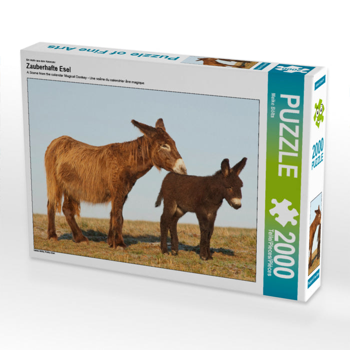 Ein Motiv aus dem Kalender Zauberhafte Esel 2000 Teile Puzzle quer - CALVENDO Foto-Puzzle'