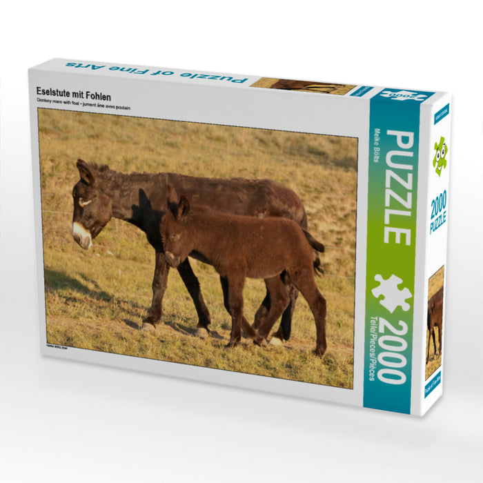 Donkey mare with foal - CALVENDO photo puzzle 