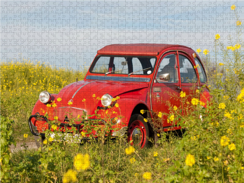 Duck in mustard - CALVENDO photo puzzle 