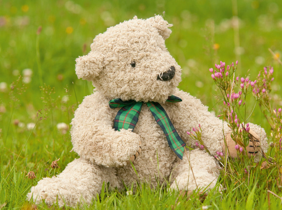 Beloved Bears - Teddys - CALVENDO Photo Puzzle 