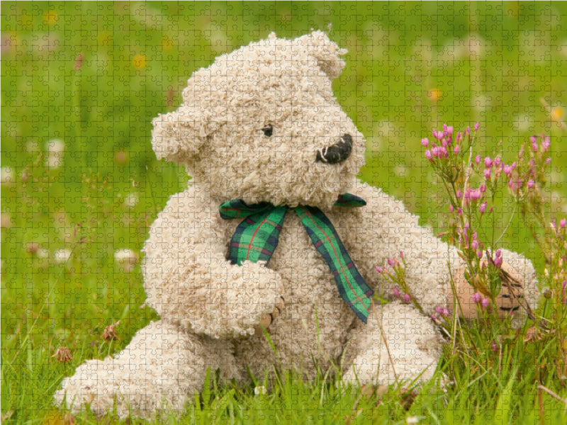Beloved Bears - Teddys - CALVENDO Photo Puzzle 