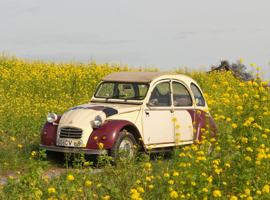 Kultautomobil Ente Citroën 2CV 2000 Teile Puzzle quer - CALVENDO Foto-Puzzle'