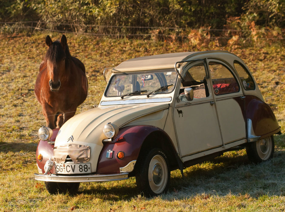 Citroën 2 CV Dolly avec cheval - Puzzle photo CALVENDO 