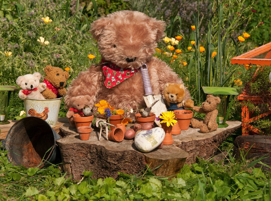 Garden Bear - CALVENDO photo puzzle 