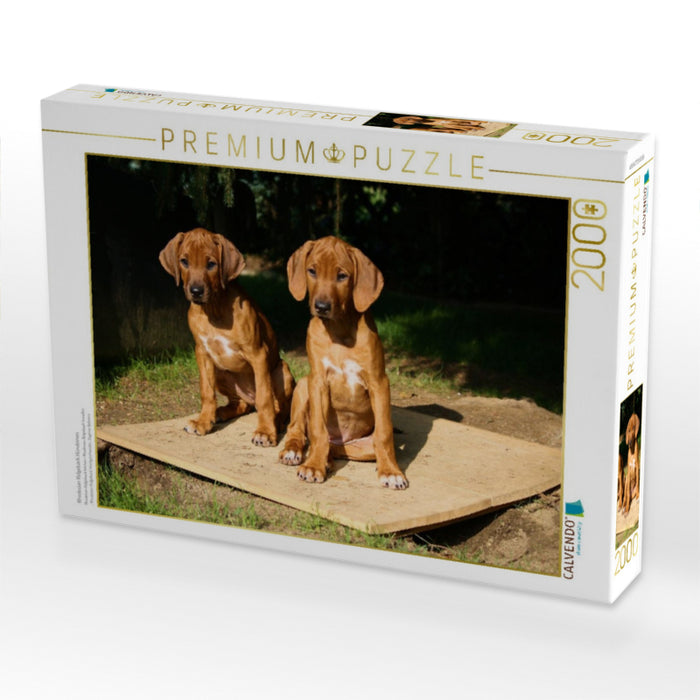 Rhodesian Ridgeback Hündinnen - CALVENDO Foto-Puzzle'