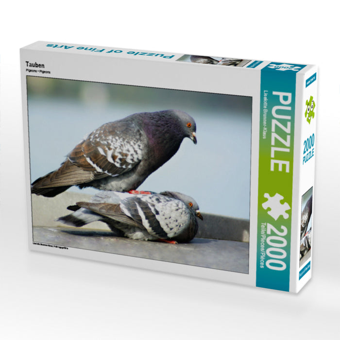 Tauben 2000 Teile Puzzle quer - CALVENDO Foto-Puzzle'