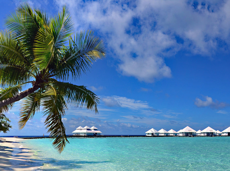 Paradise - CALVENDO photo puzzle 