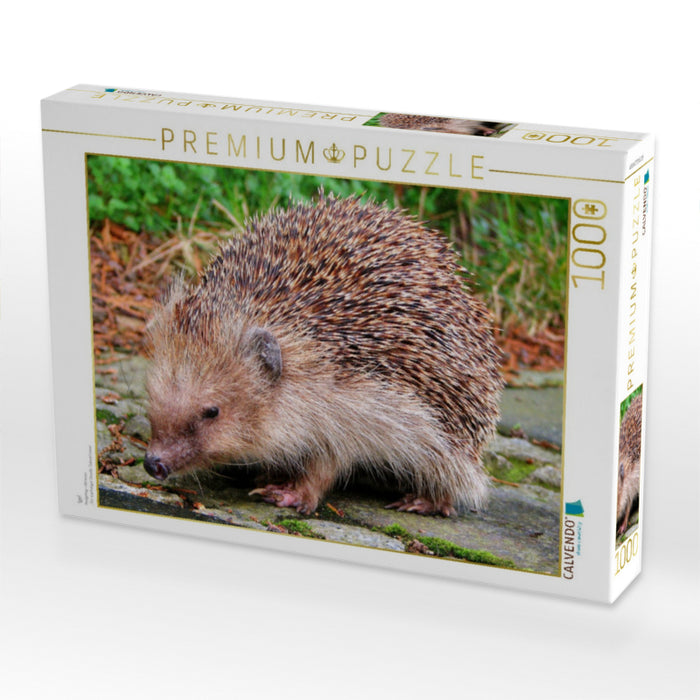 Igel - CALVENDO Foto-Puzzle'