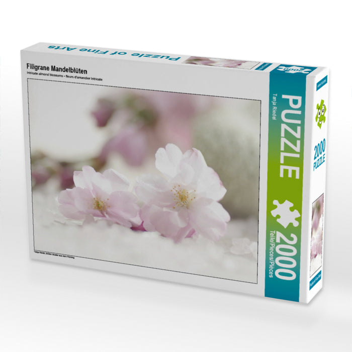 Filigrane Mandelblüten 2000 Teile Puzzle quer - CALVENDO Foto-Puzzle'