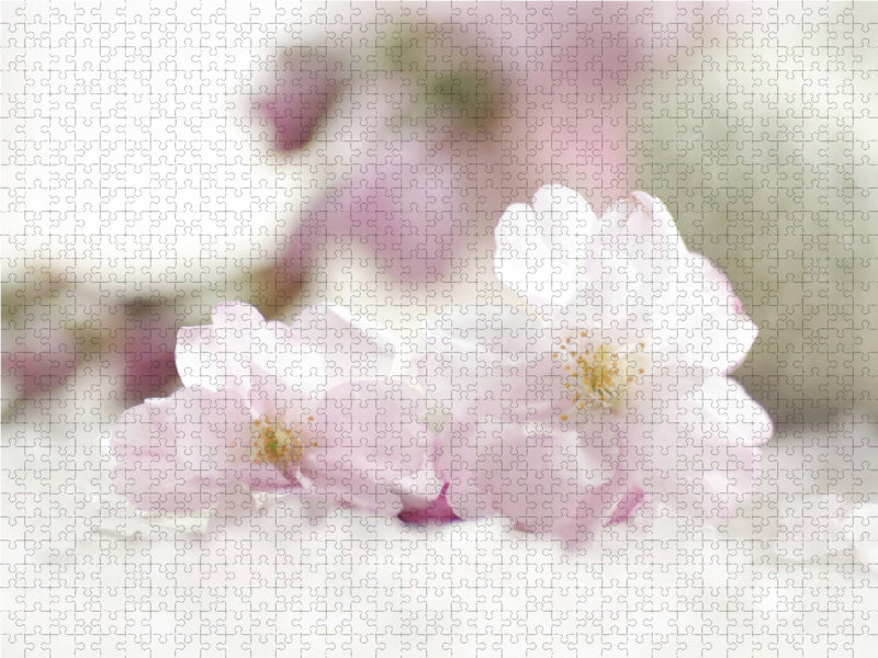 Filigrane Mandelblüten 2000 Teile Puzzle quer - CALVENDO Foto-Puzzle'