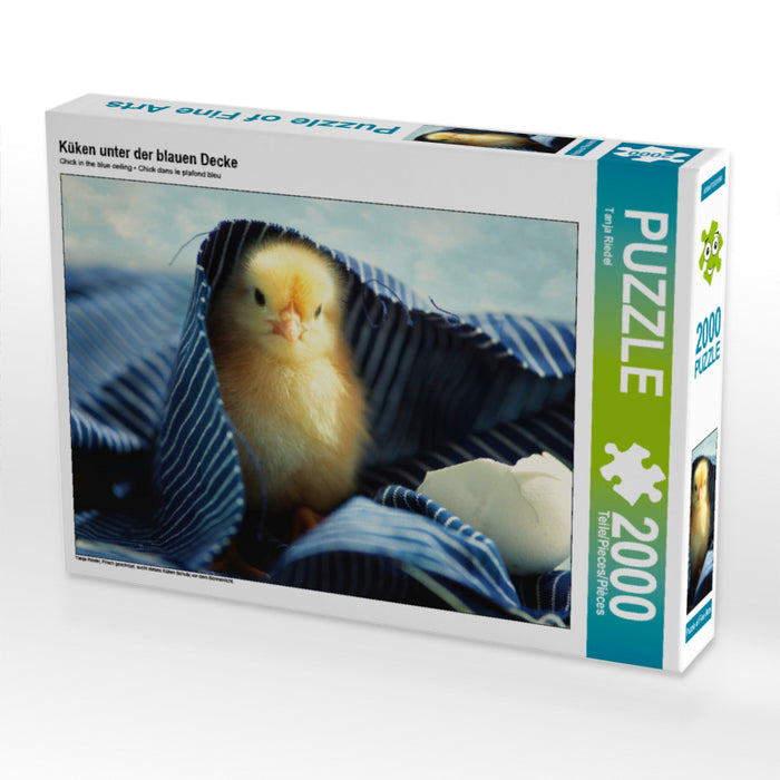 Küken unter der blauen Decke 2000 Teile Puzzle quer - CALVENDO Foto-Puzzle'