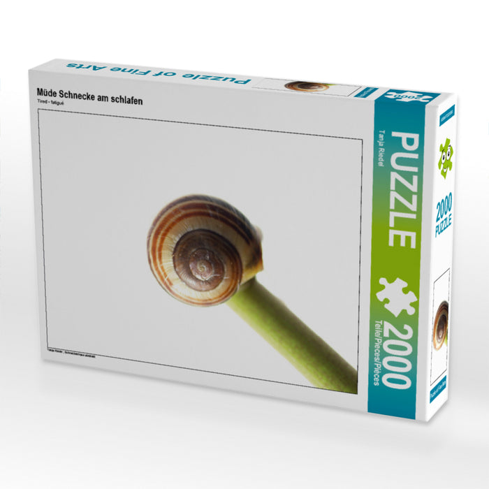 Tired snail sleeping - CALVENDO photo puzzle 