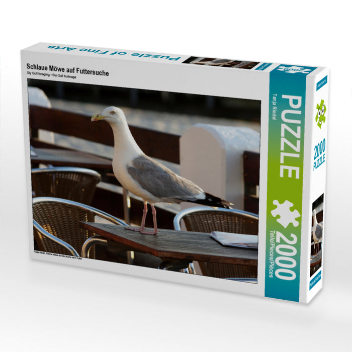 Schlaue Möwe auf Futtersuche 2000 Teile Puzzle quer - CALVENDO Foto-Puzzle'