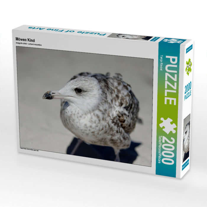 Seagulls child - CALVENDO photo puzzle 