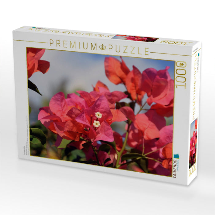 bougainvillea - CALVENDO Foto-Puzzle'