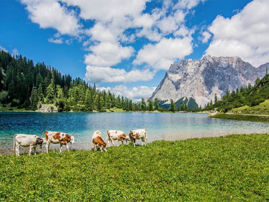 Blick über den Seebensee zur Zugspitze - CALVENDO Foto-Puzzle'