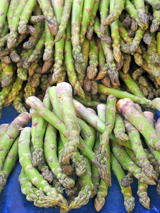 Spargel - CALVENDO Foto-Puzzle'