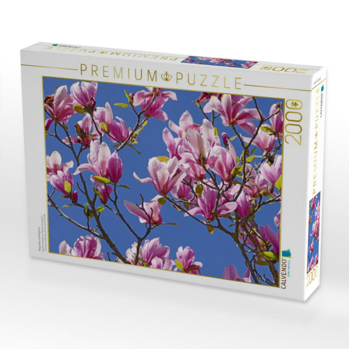 Magnolia soulangeana - CALVENDO Foto-Puzzle'