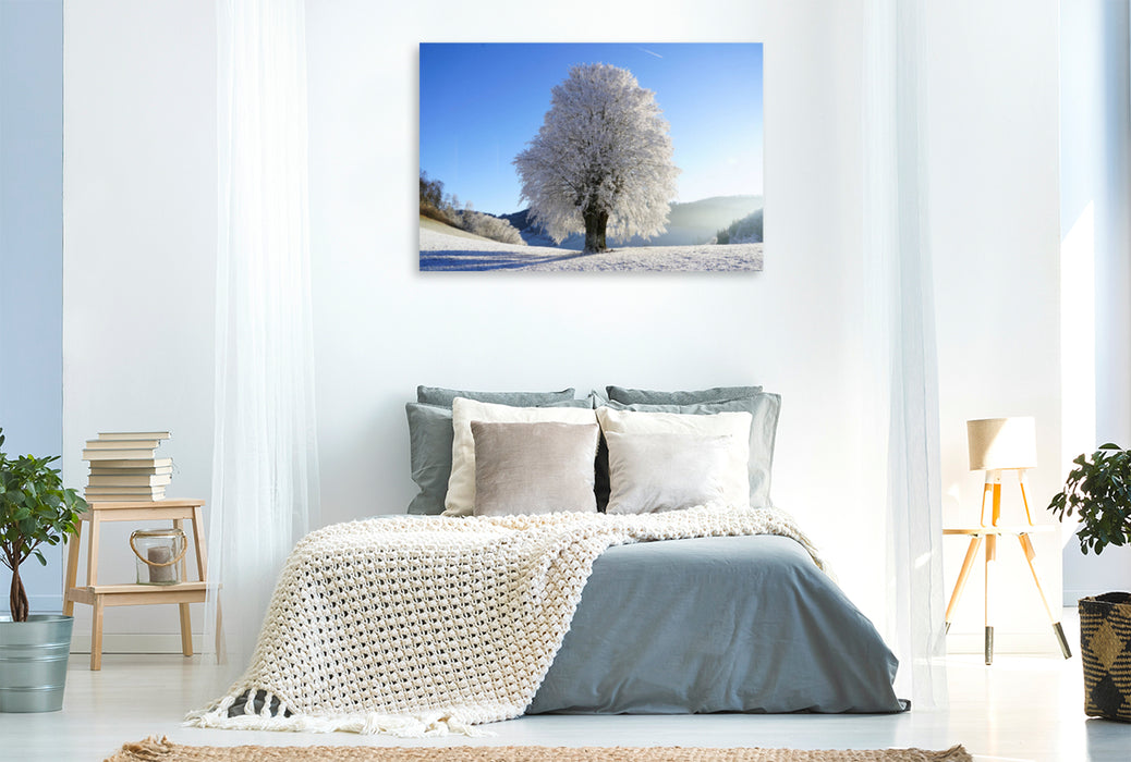 Premium Textil-Leinwand Premium Textil-Leinwand 120 cm x 80 cm quer Baum im Winterfrost