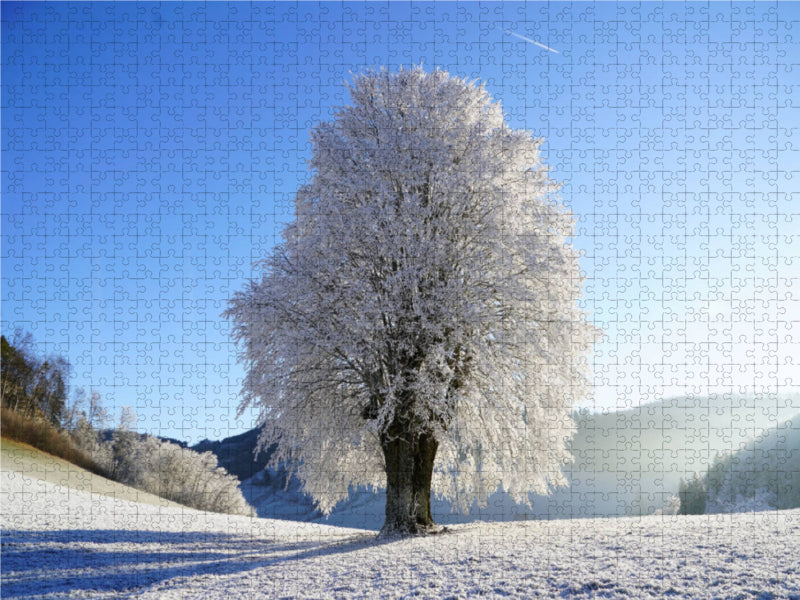 Baum im Winterfrost 1000 Teile Puzzle quer - CALVENDO Foto-Puzzle'