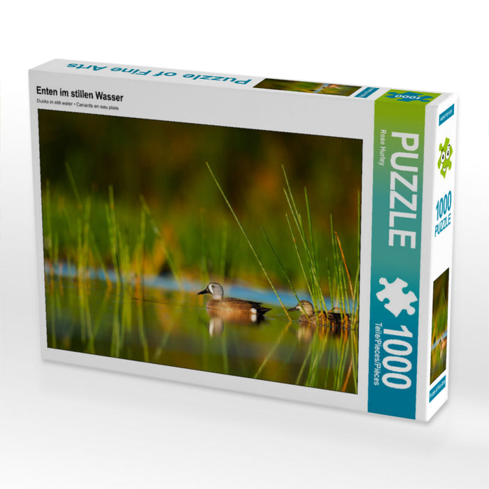 Ducks in still water - CALVENDO photo puzzle 