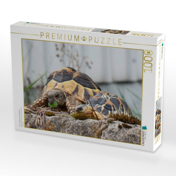 Fritz und Willi zwei Schildkröten - CALVENDO Foto-Puzzle'