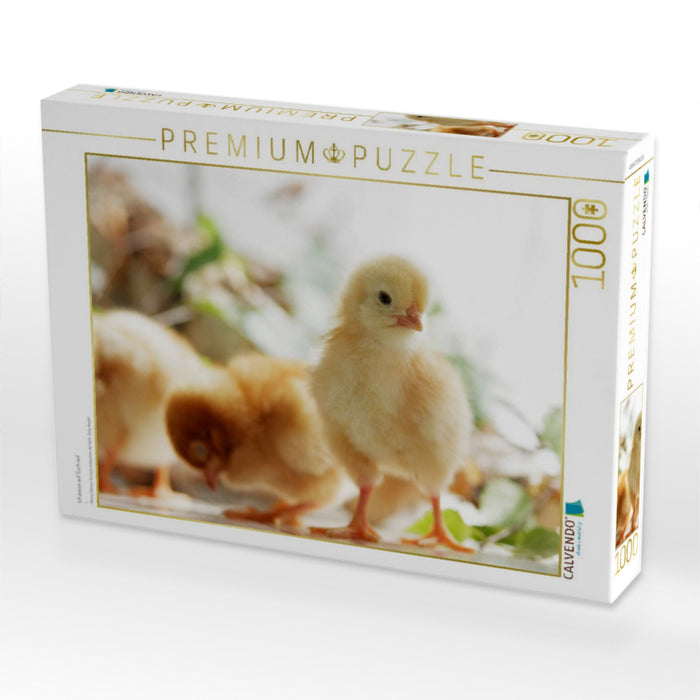 Ich passe auf Euch auf - CALVENDO Foto-Puzzle'