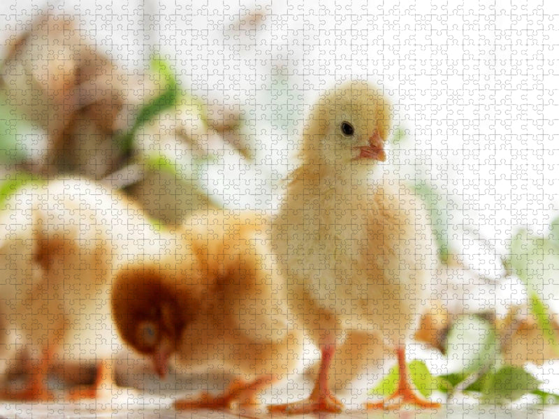 Ich passe auf Euch auf - CALVENDO Foto-Puzzle'