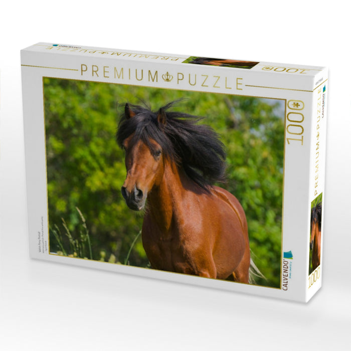 Welsh Pony Porträt - CALVENDO Foto-Puzzle'