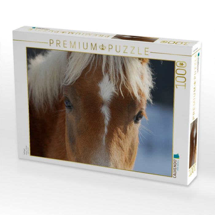 Haflinger - CALVENDO Foto-Puzzle'