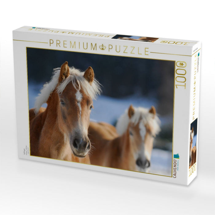 Haflinger - CALVENDO Foto-Puzzle'