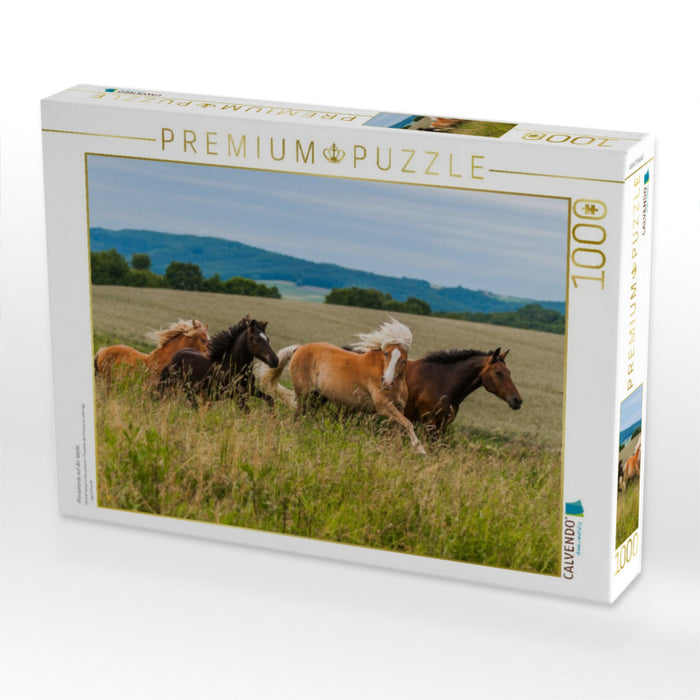 Pferdeherde auf der Weide - CALVENDO Foto-Puzzle'