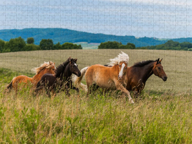 Pferdeherde auf der Weide - CALVENDO Foto-Puzzle'