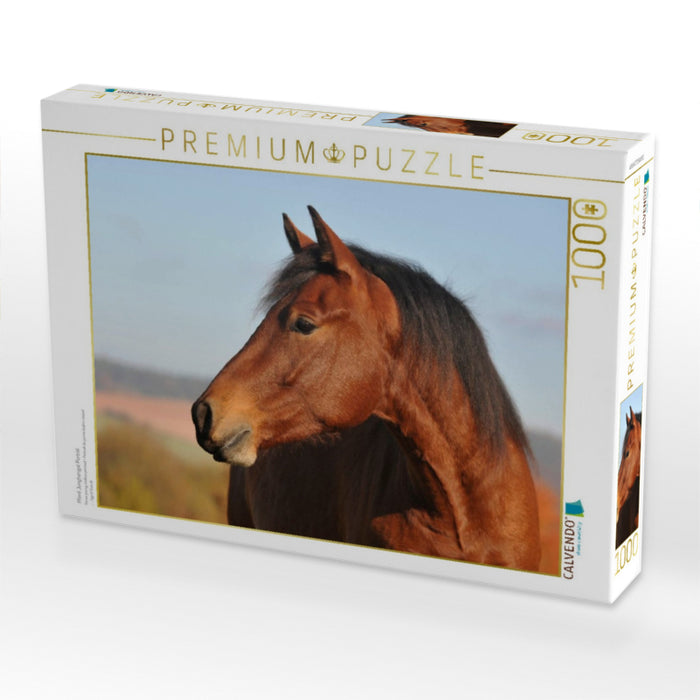 Pferd Junghengst Porträt - CALVENDO Foto-Puzzle'