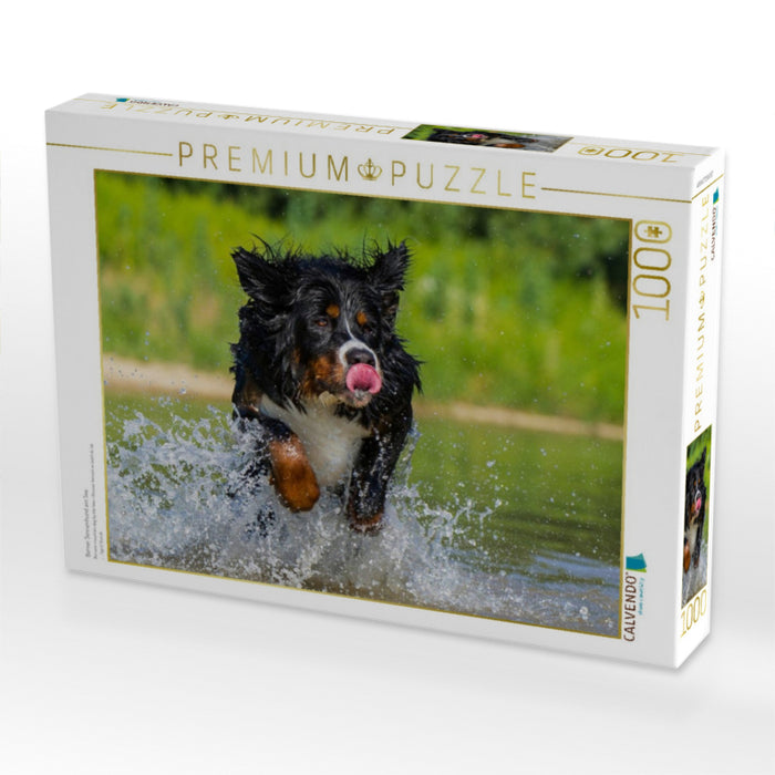 Berner Sennenhund am See - CALVENDO Foto-Puzzle'