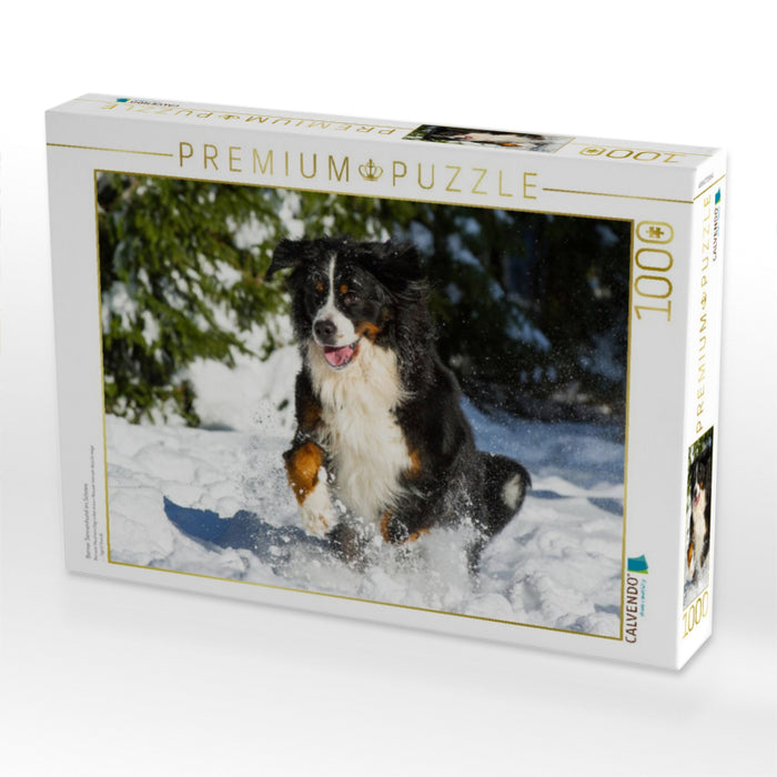 Berner Sennenhund im Schnee - CALVENDO Foto-Puzzle'