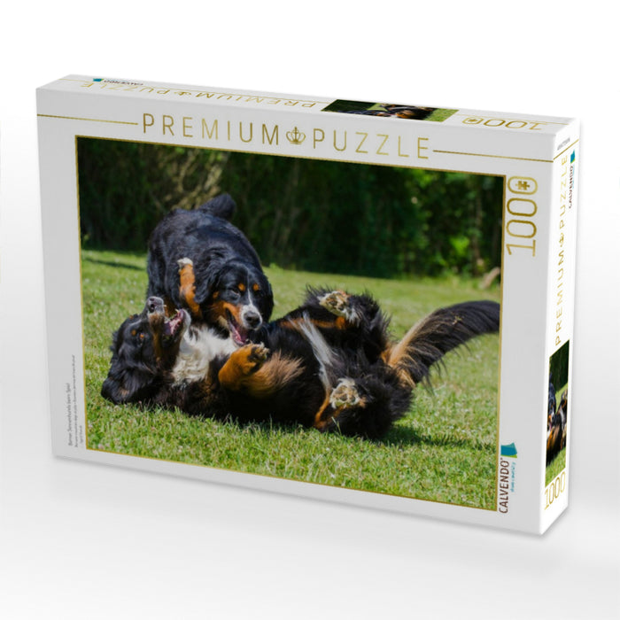 Berner Sennenhunde beim Spiel - CALVENDO Foto-Puzzle'
