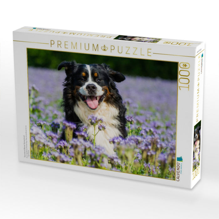 Traumhund Berner Sennenhund - CALVENDO Foto-Puzzle'