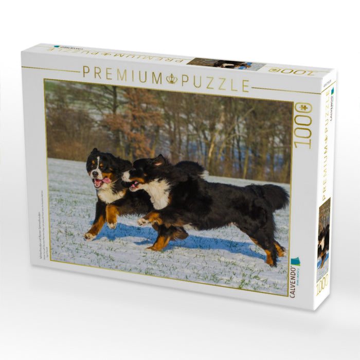 Winterfreuden mit Berner Sennenhunden - CALVENDO Foto-Puzzle'