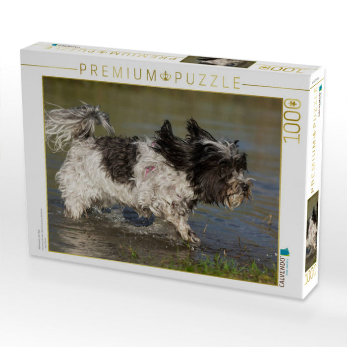 Havaneser am See - CALVENDO Foto-Puzzle'